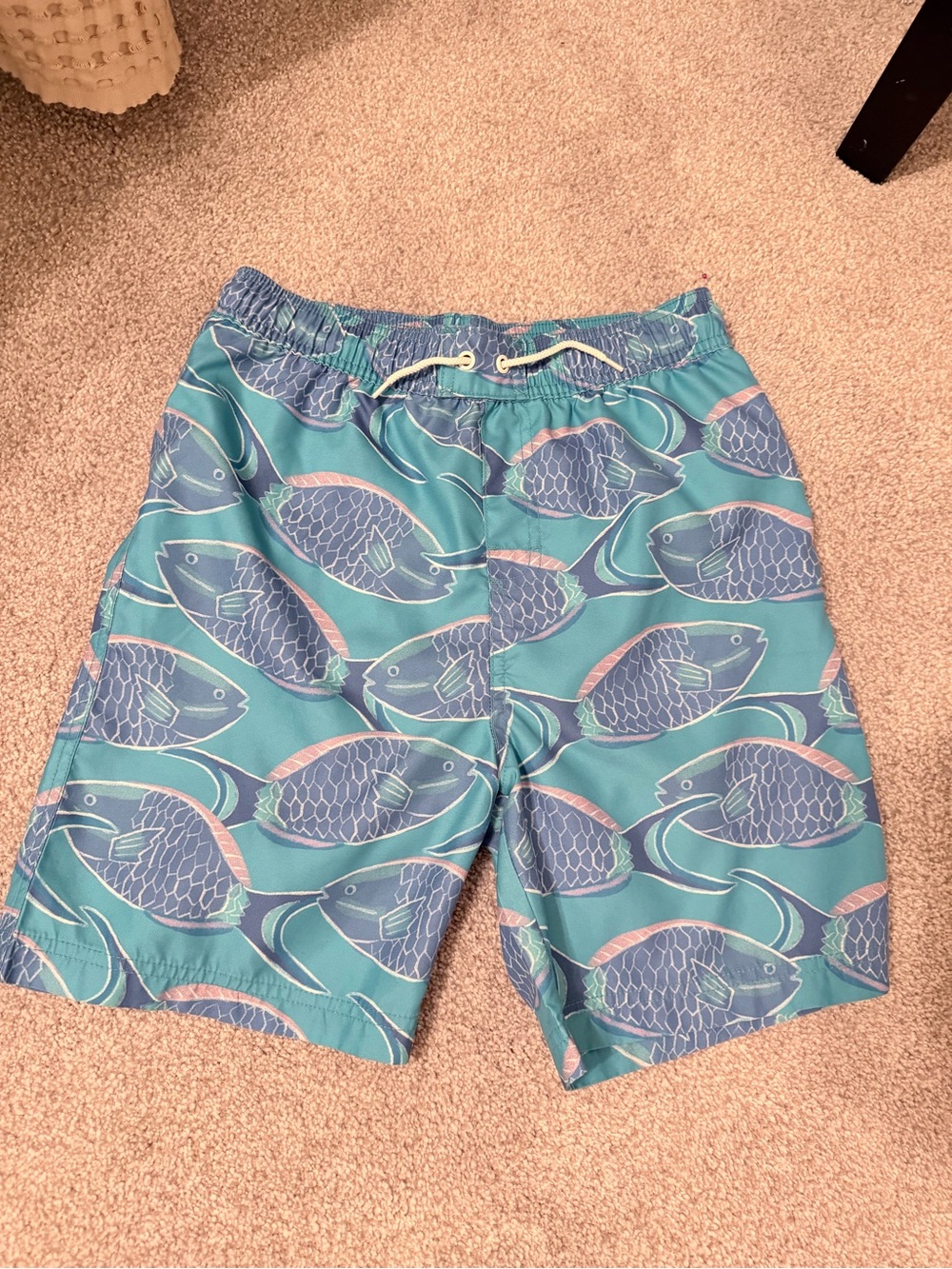 Tea Collection boys 14 swim trunks